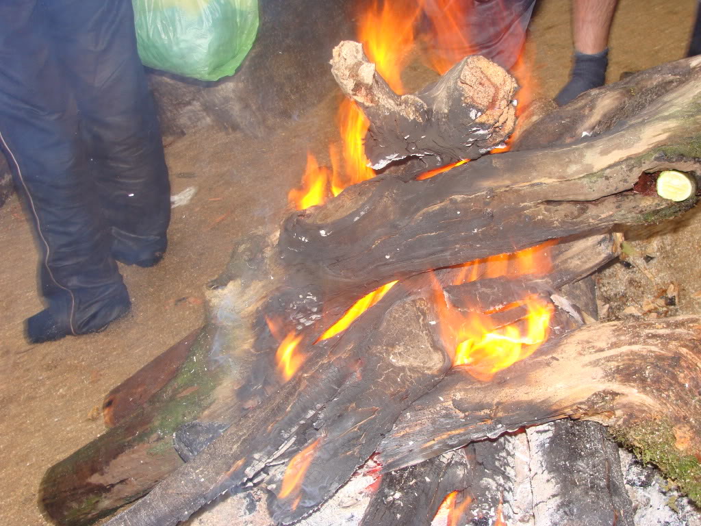 DSC00664.jpg