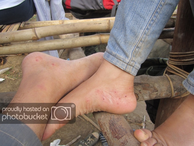 IMG_1035_zps158694ef.jpg