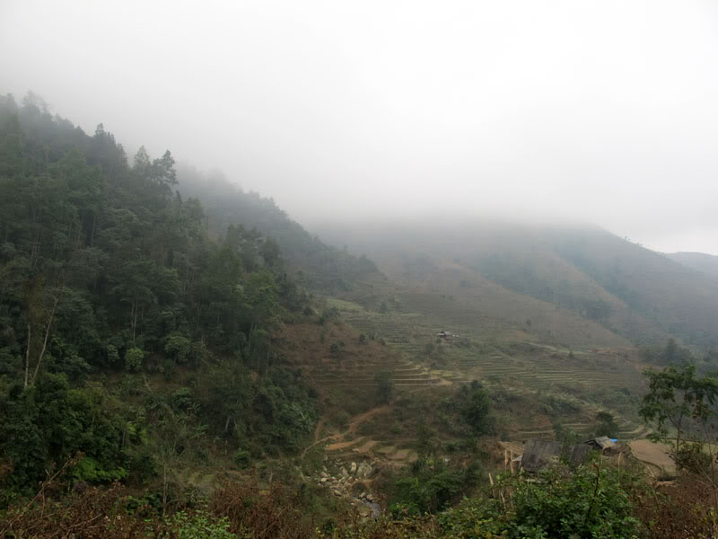 HongNgai2011779.jpg