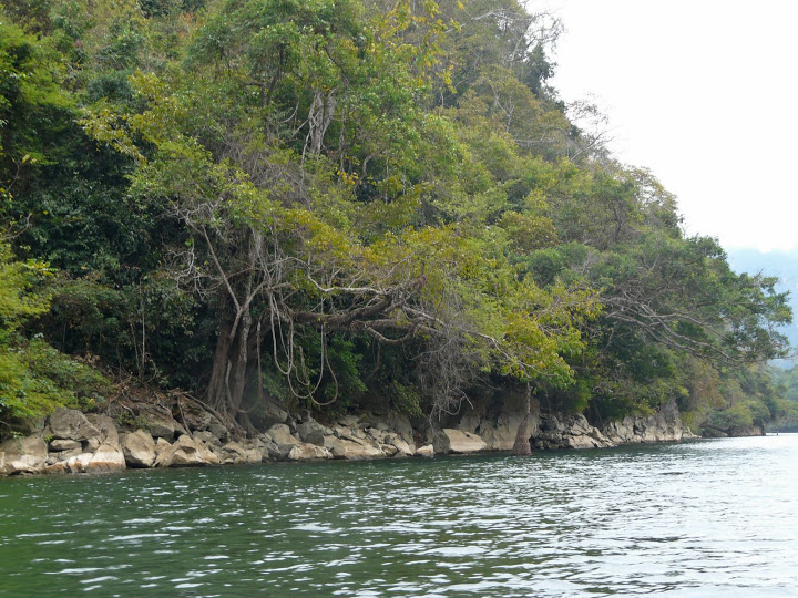P1050597.JPG