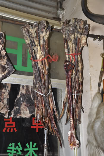 shangri-la15.jpg