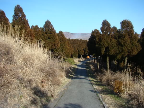 DSC02527_resize.jpg