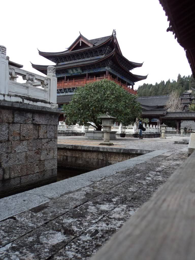 DSC01714.jpg