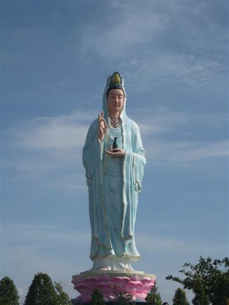 IMG_6243Medium.jpg