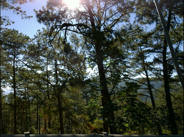 12616503584_fed0e66156_z.jpg
