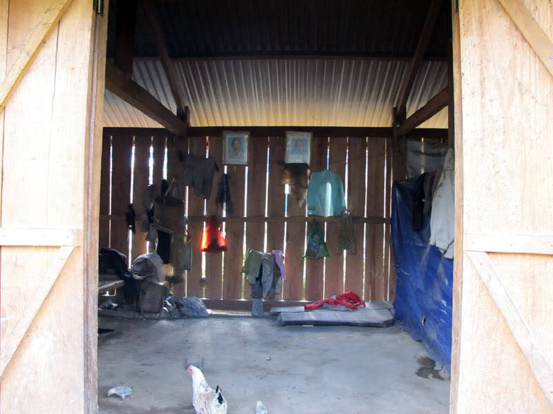 IMG_7334.jpg