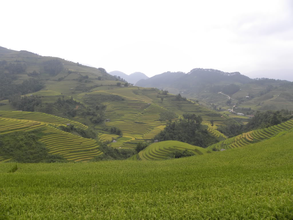 DSCN8350.jpg