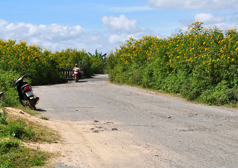 DSC_7418.jpg