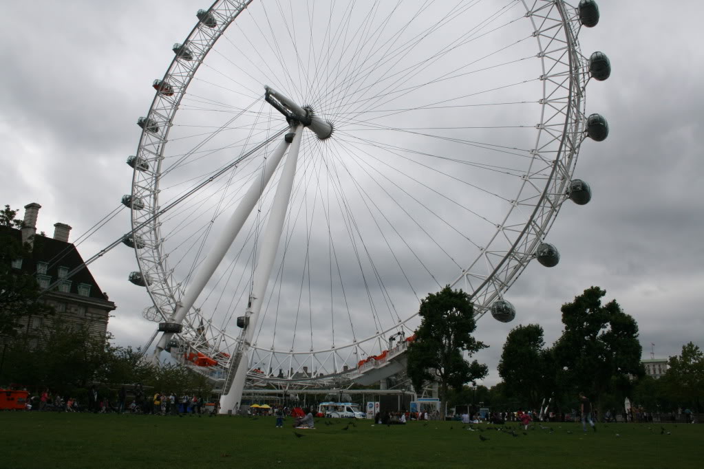 174.jpg
