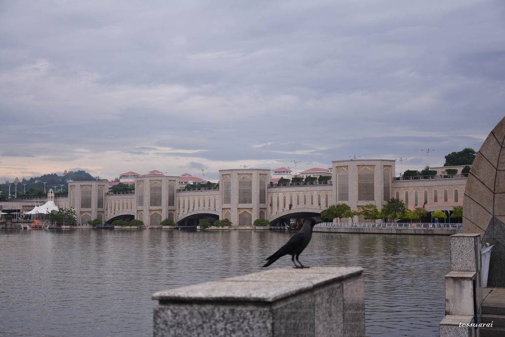 DSC_0074.jpg