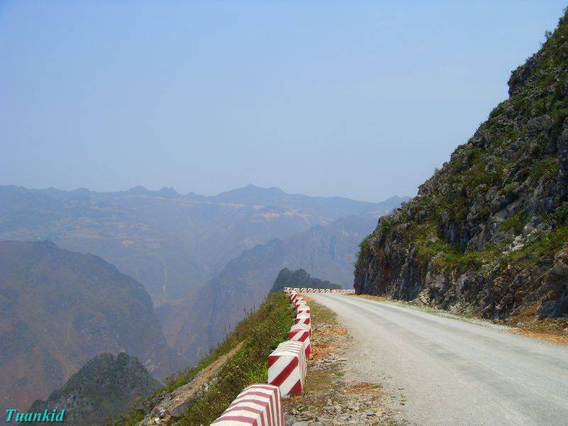 SDC16477.jpg