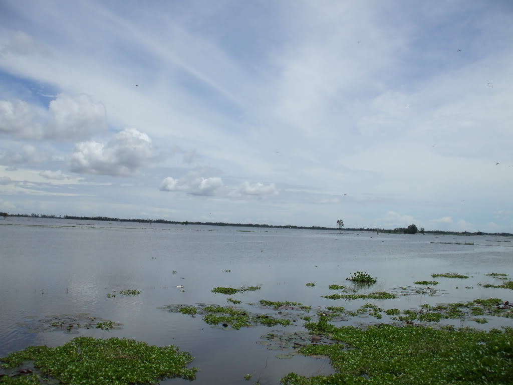 DSCF2665.jpg