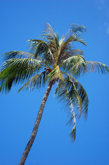DSC_6774_resize.jpg