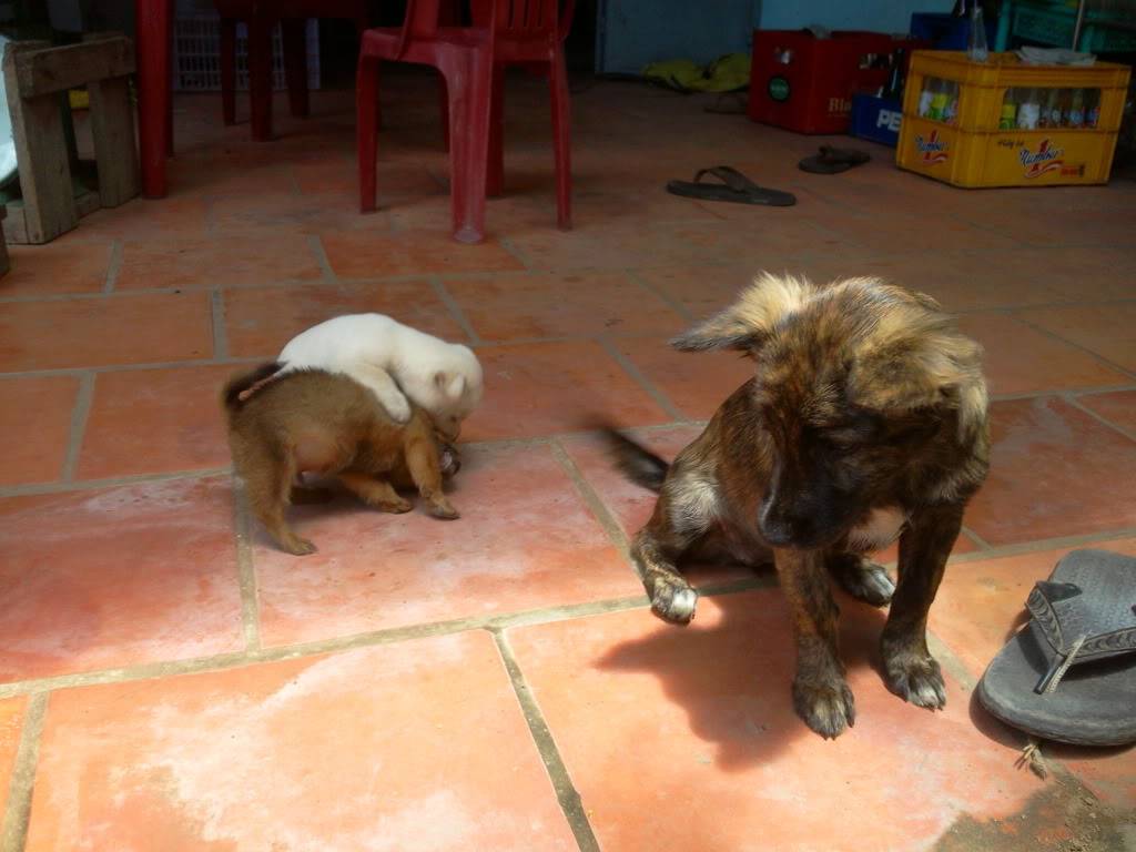 Photo0715.jpg