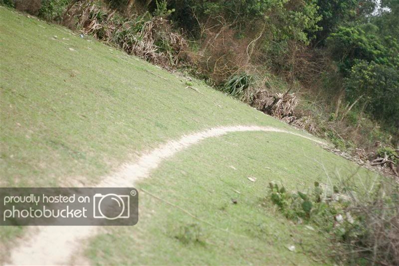 _MG_9505Medium.jpg