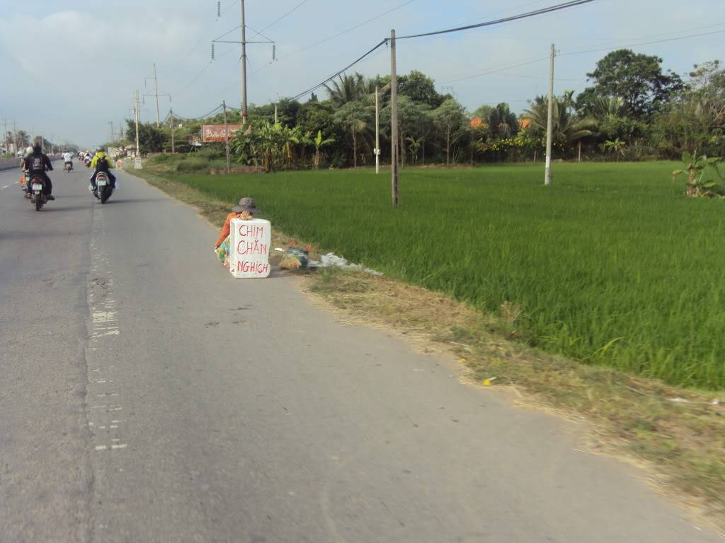 DSC05142.jpg