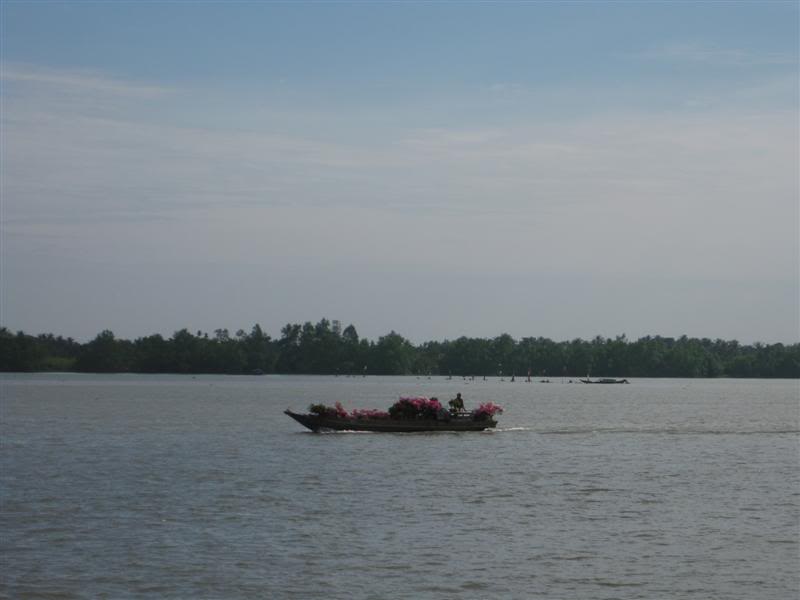 IMG_2160Medium.jpg