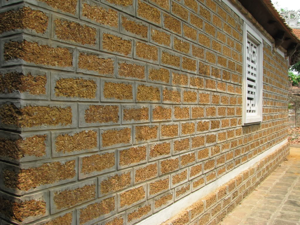 IMG_1260.jpg