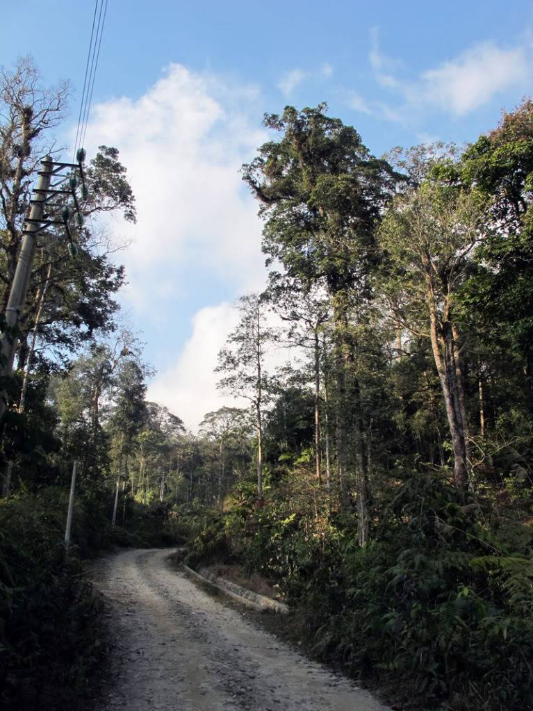 HongNgai2011227.jpg