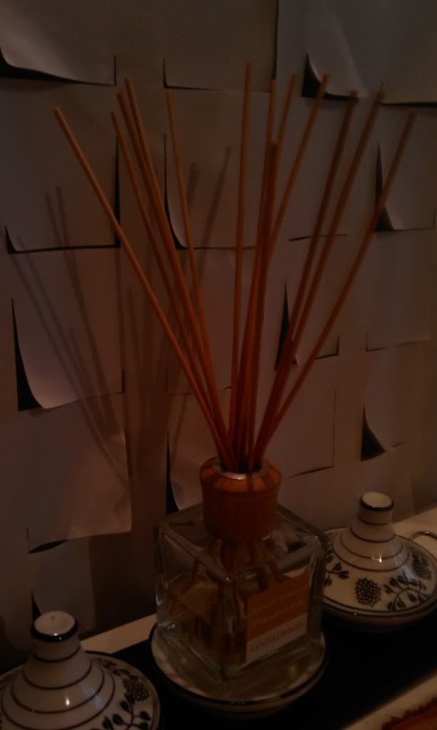 IMAG0240.jpg