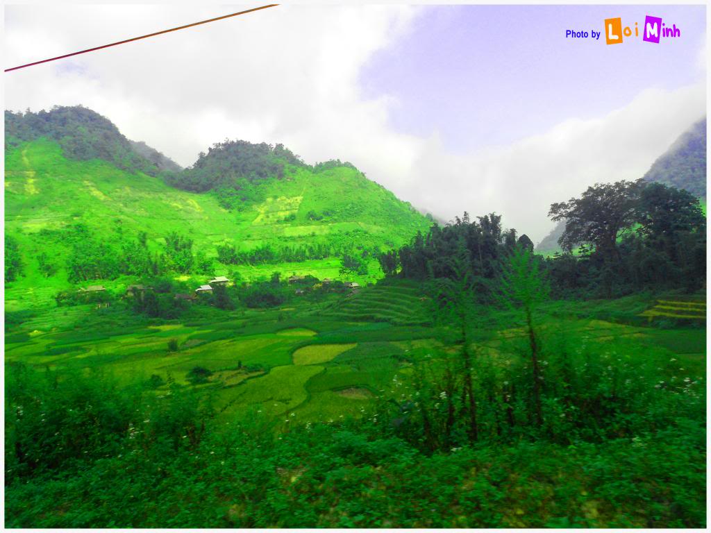 DSCN3230.jpg
