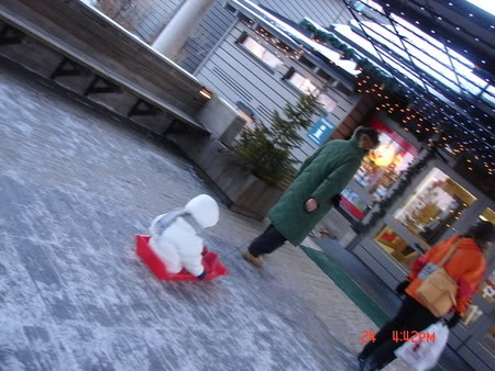 DSC05650.jpg