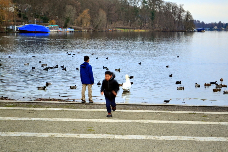 DSC_0421.jpg