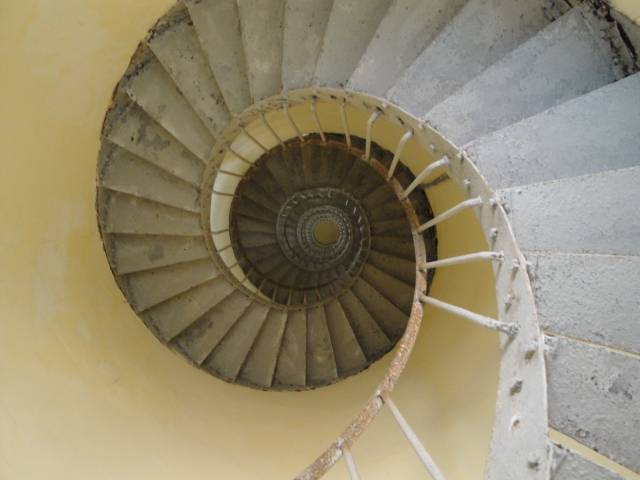 DSC08156_zpse1164220.jpg