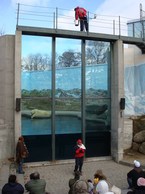 DSC05756.jpg