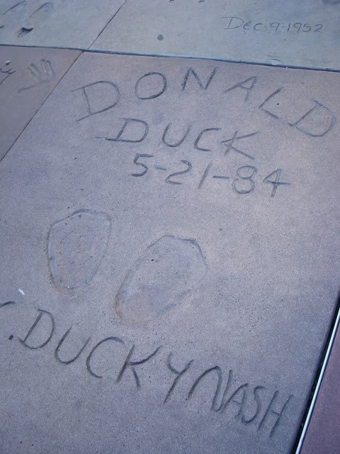 DSC08375.jpg