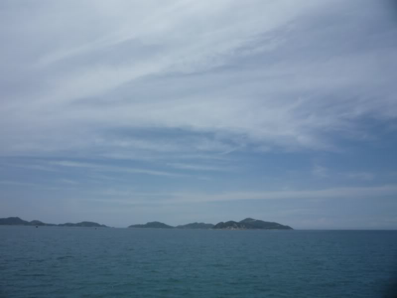 P1010537800x600.jpg