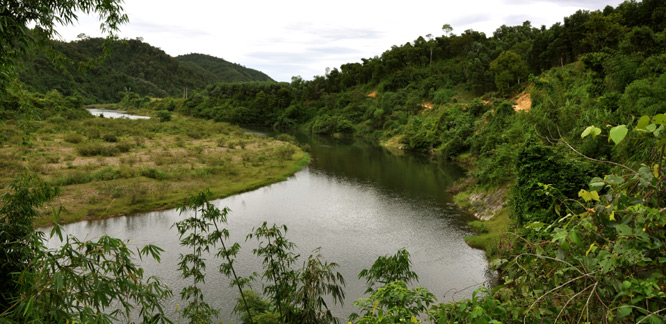 DSC_0063.jpg