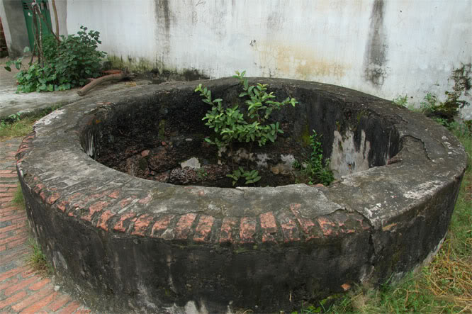 DSC_2461.jpg
