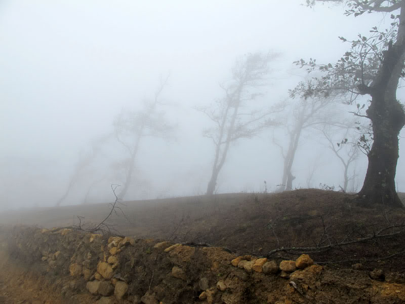 HongNgai2011570.jpg