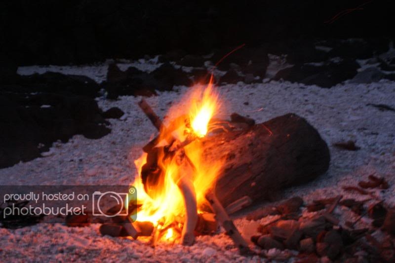 IMG_9990Medium.jpg
