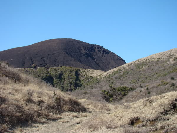 DSC02419_resize.jpg