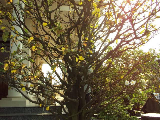 DSC00513.jpg
