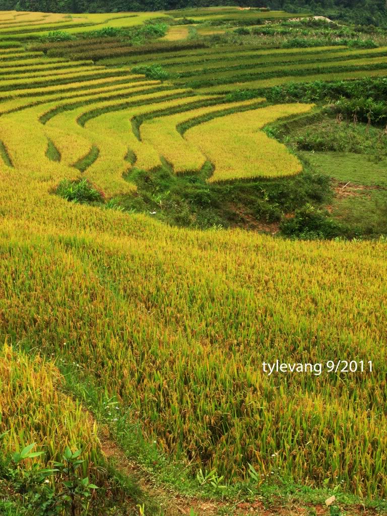 sapa-hang85.jpg