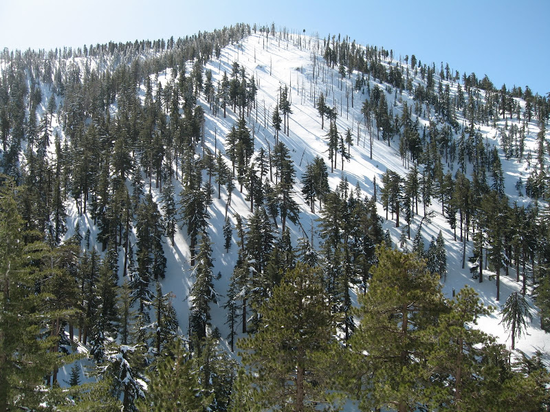 IMG_4917.JPG