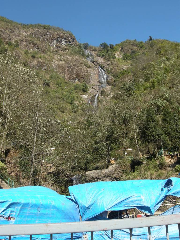 DSCN0459.jpg