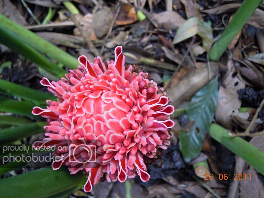 DSCN2478.jpg