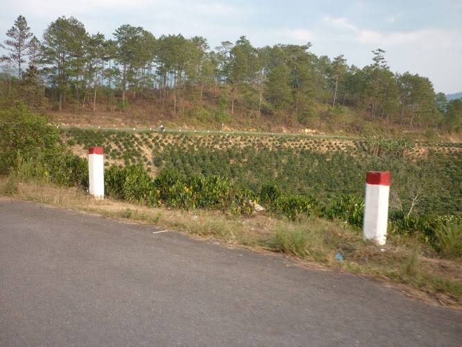 P1070469-1.jpg