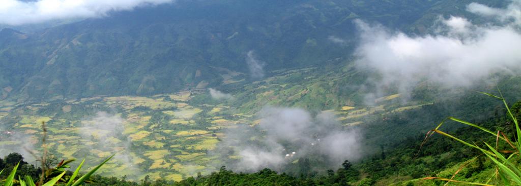Panorama_Cropped1_a.jpg
