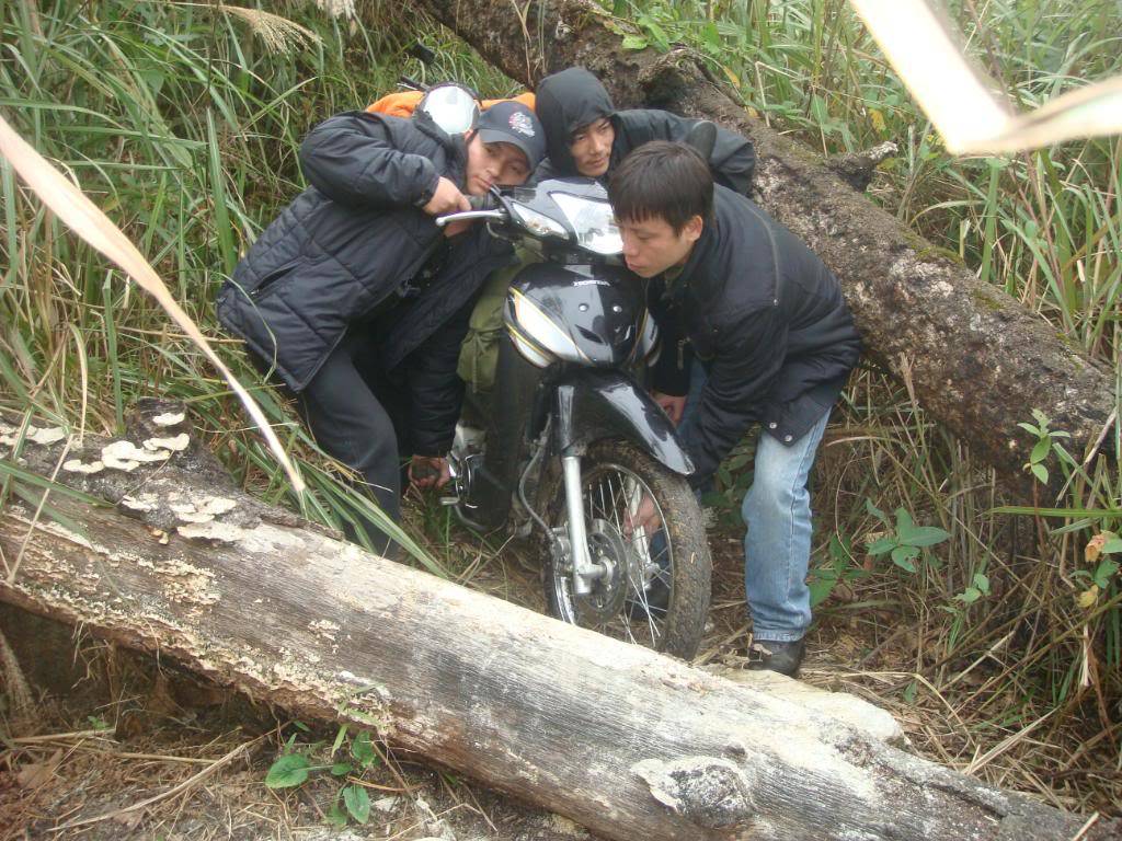 DSC06006.jpg