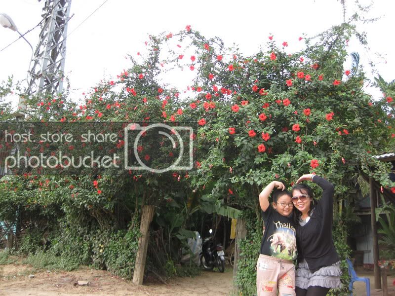 TayNguyen206_resize.jpg
