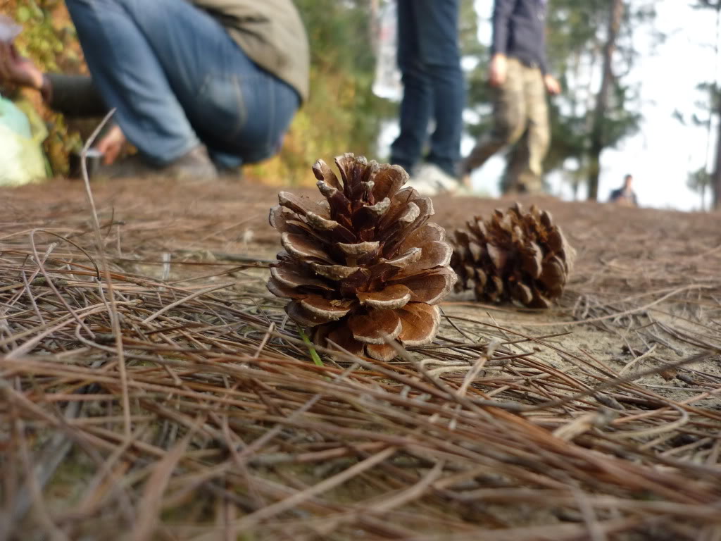 P1040049.jpg