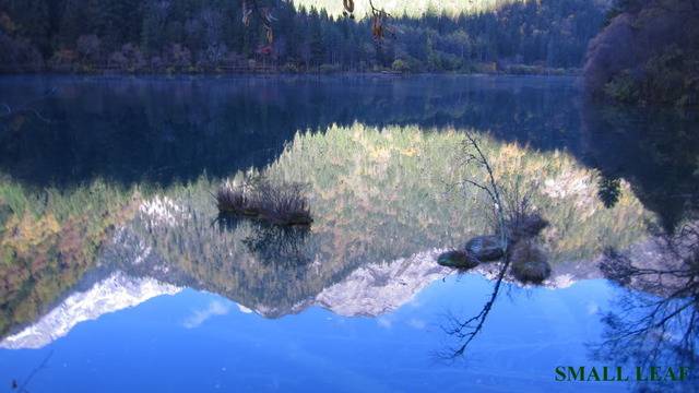 IMG_2190_1.jpg