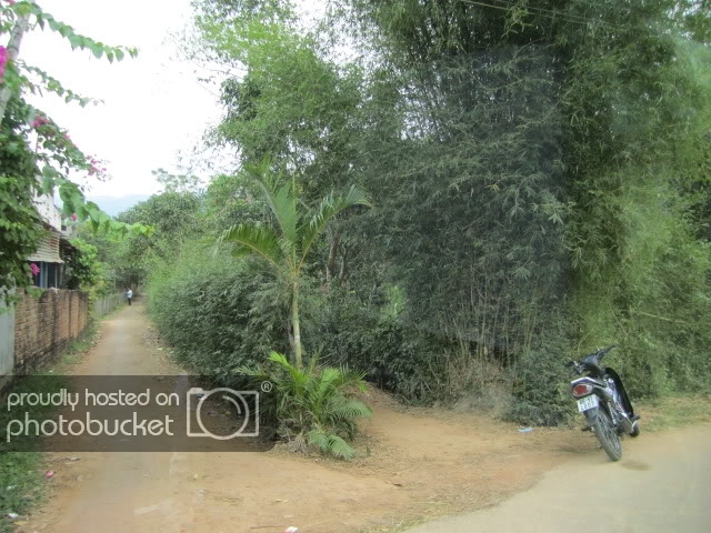 tnhlinh17.jpg