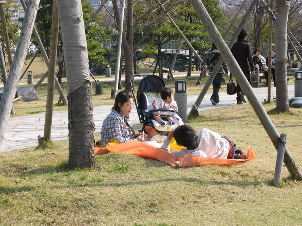 IMG_0961_resize.jpg