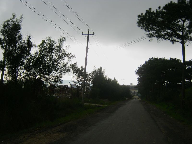 IMG_9418.jpg